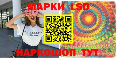 молекула духа Кингисепп