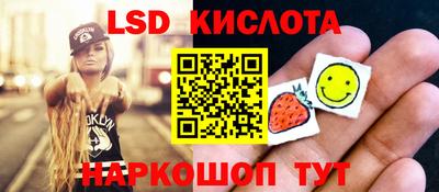 молекула духа Кингисепп