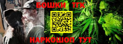 молекула духа Кингисепп