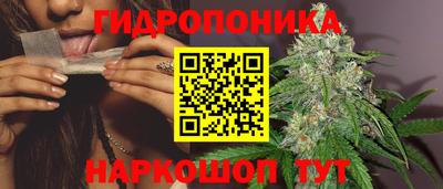 apvp Кимры