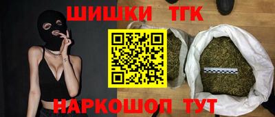 молекула духа Кингисепп