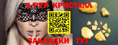 молекула духа Кингисепп