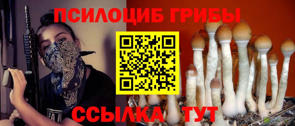 Красноярск  Псилоцибиновые грибы ЛСД  Вход с VPN 